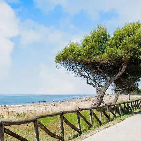 Flat In Seafront With Parking Apartment *